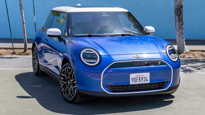 Mini 2025