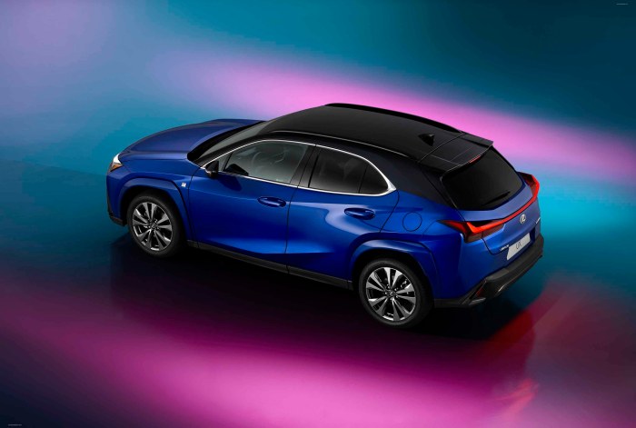 Lexus ux 2025