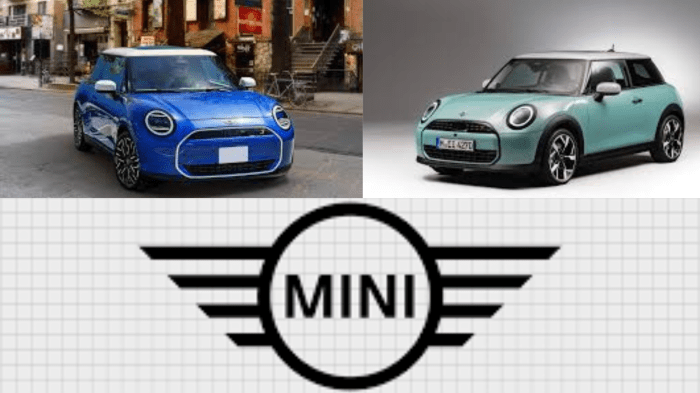 Mini 2025