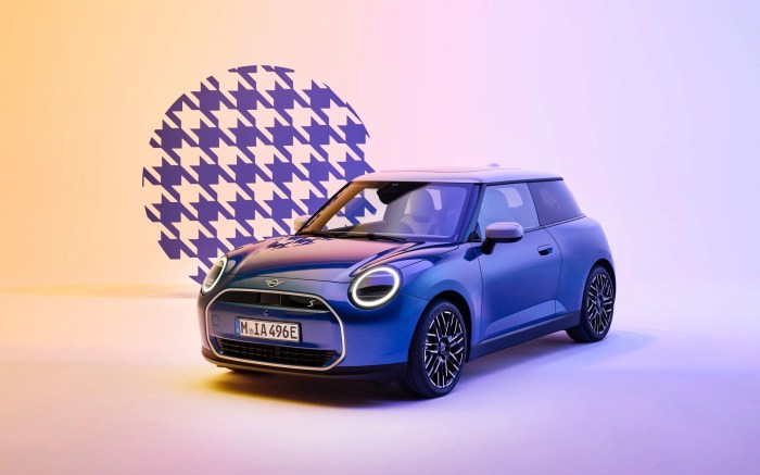 Mini 2025